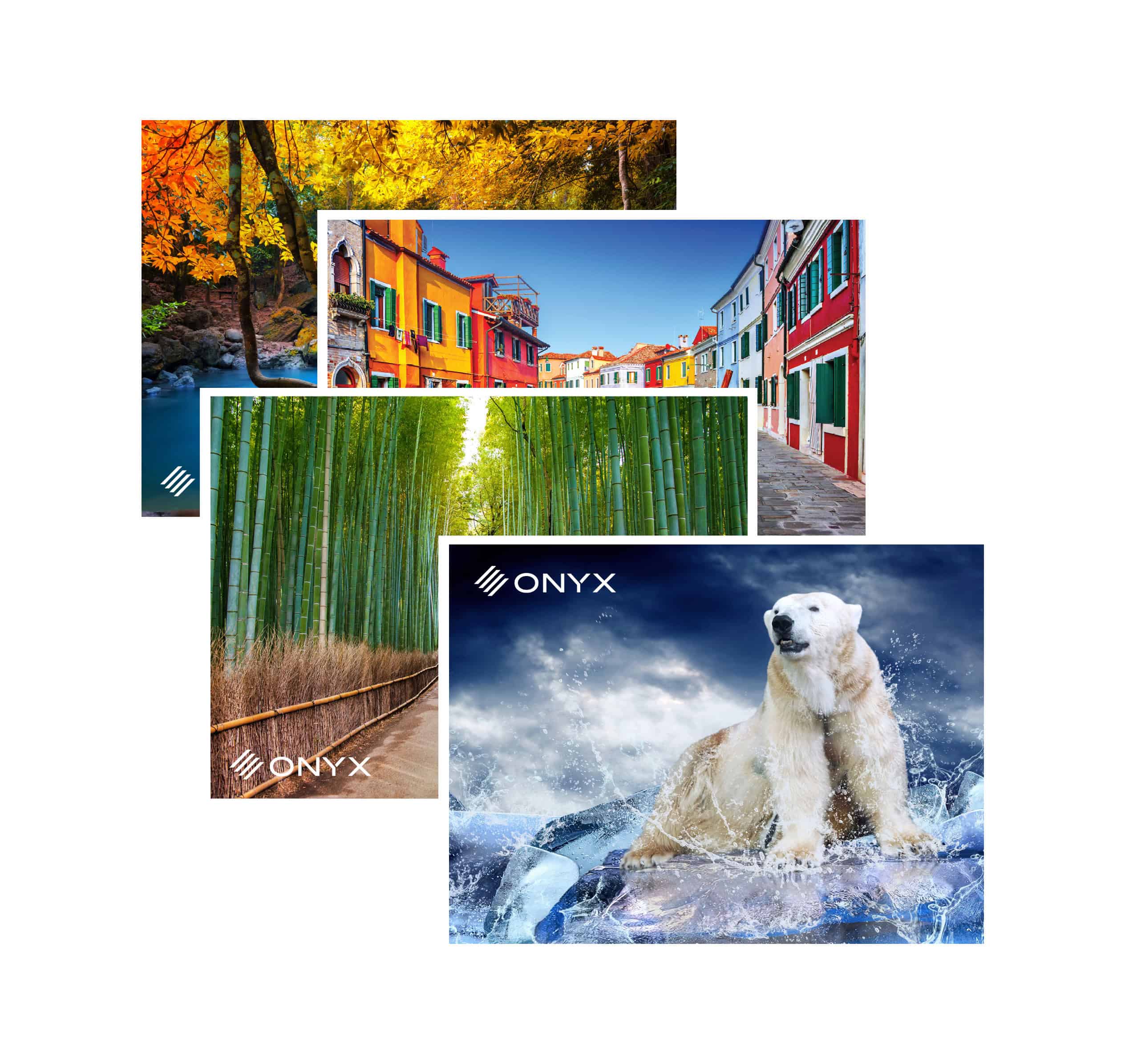 Four postcards featuring vibrant autumn trees, colorful European buildings, a bamboo forest, and a polar bear on ice, each marked with an "ONYX" logo—crafted with precision cutting and quality printing from Onyx Graphics.